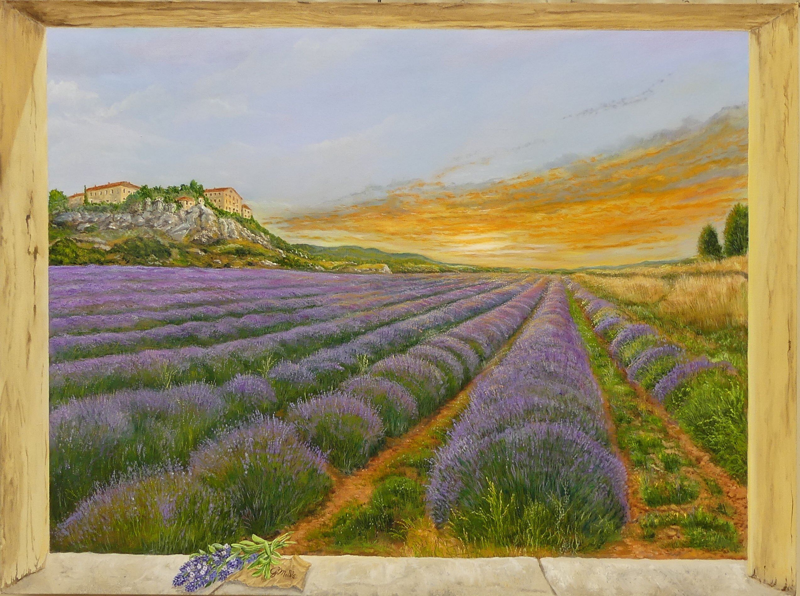 Lavander-field-2-B-1