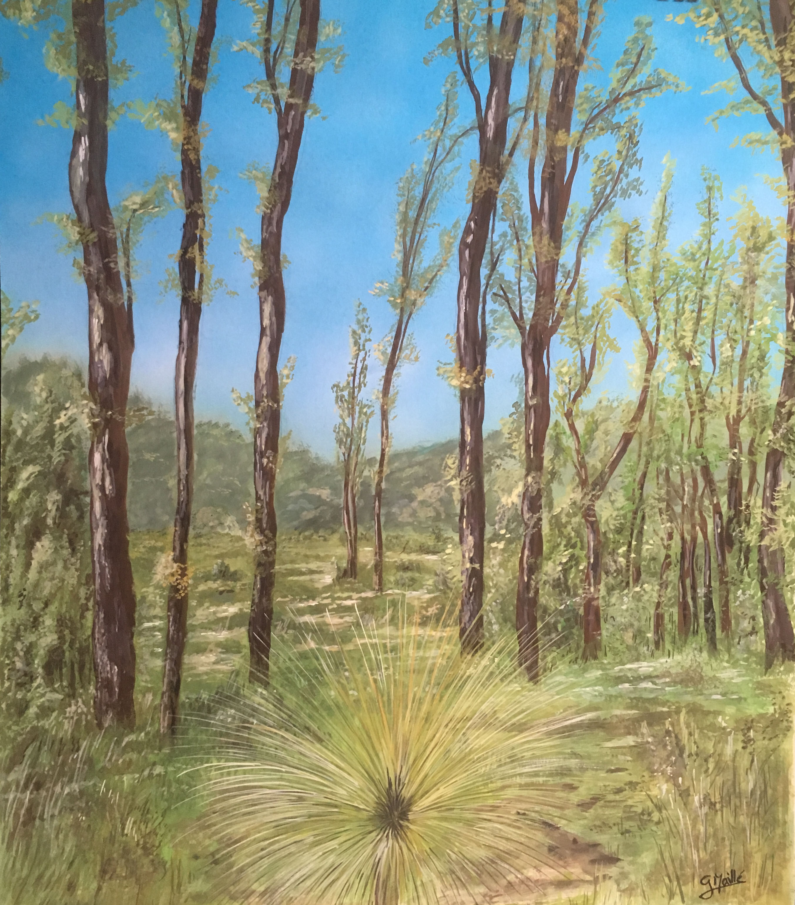 Australian bush gouache and pencils